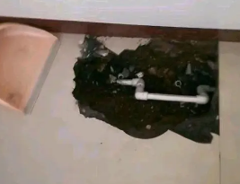 解放卫生间测漏水多少钱